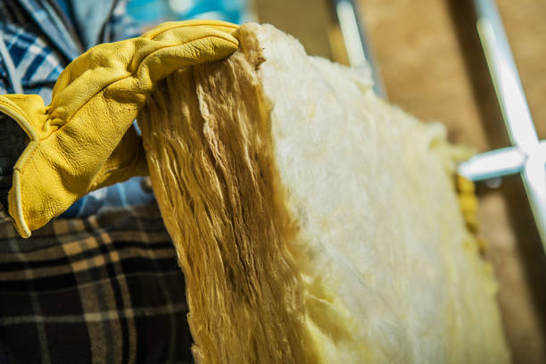 Best Spray Foam Insulation  in Lely, FL