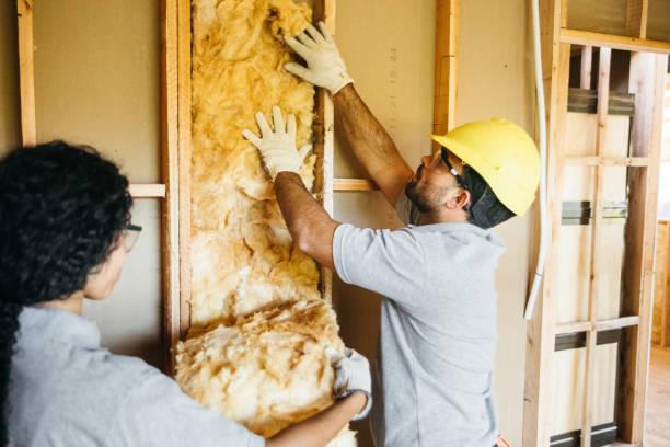 Best Spray Foam Insulation  in Lely, FL